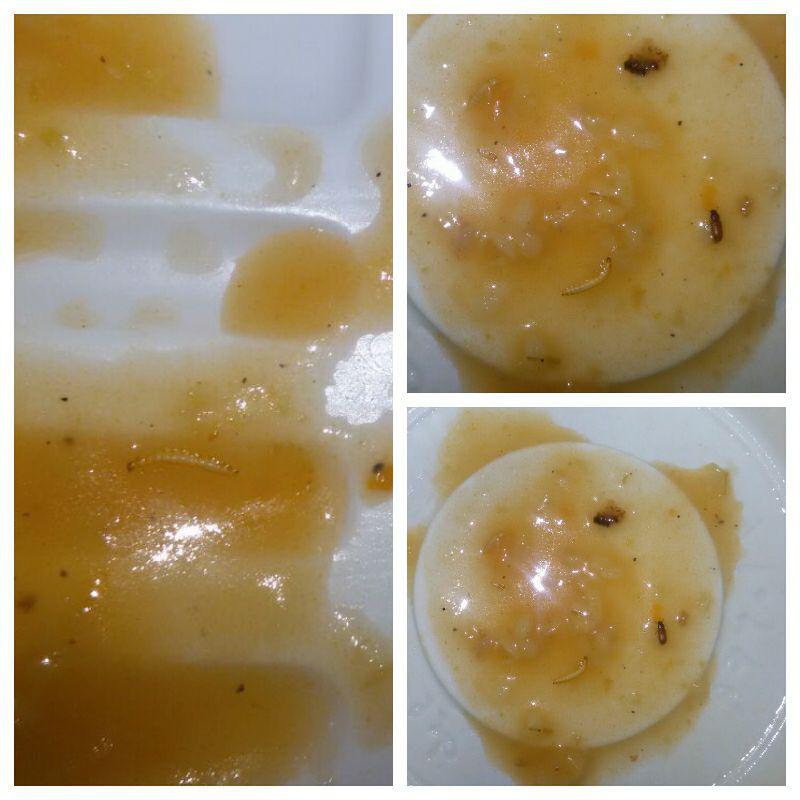 http://s9.picofile.com/file/8275316284/%D8%B3%D9%88%D8%B3%DA%A9_%D9%88_%DA%A9%D8%B1%D9%85.jpg