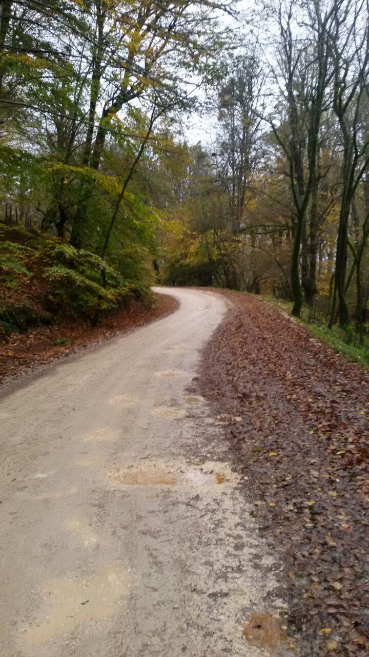 1_1_.jpg (720×1280)