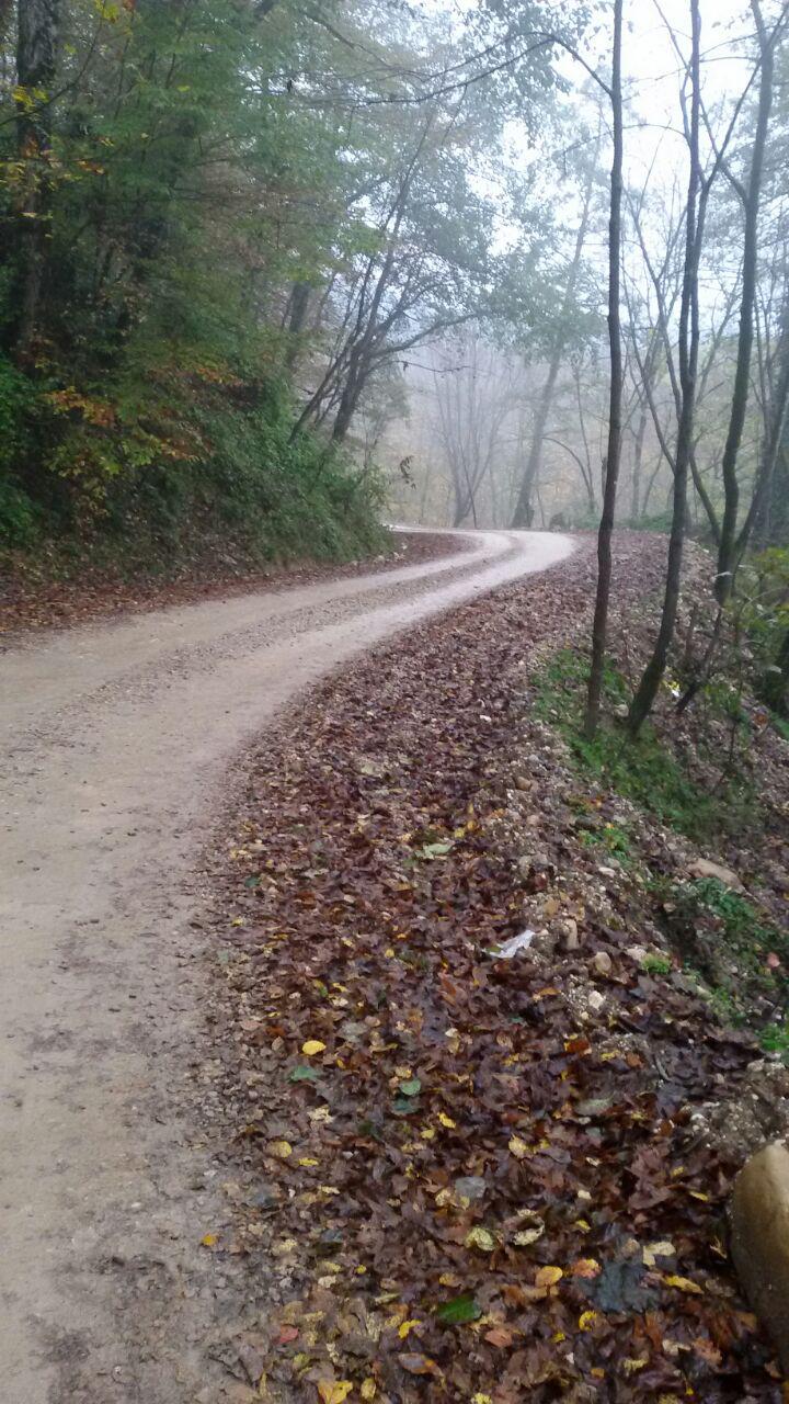 1_4_.jpg (720×1280)