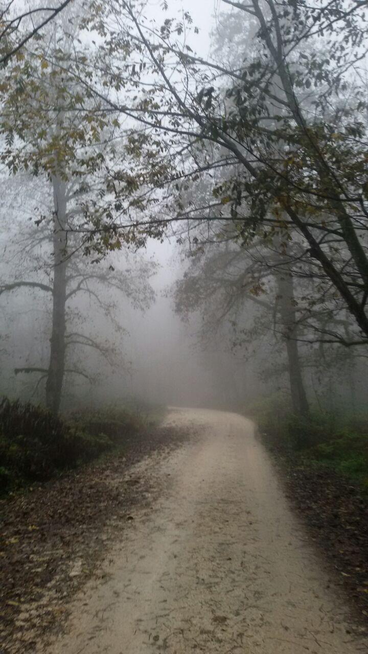 1_8_.jpg (720×1280)