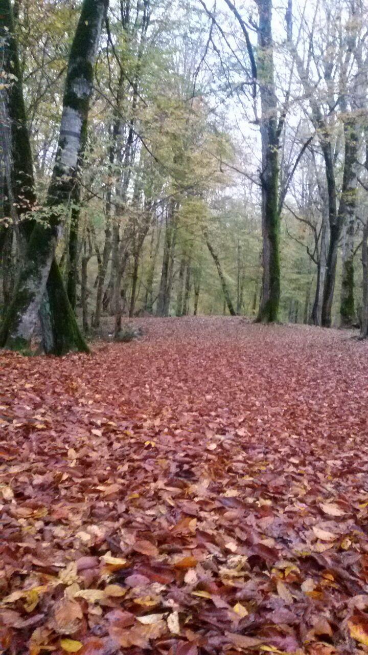 1_9_.jpg (720×1280)