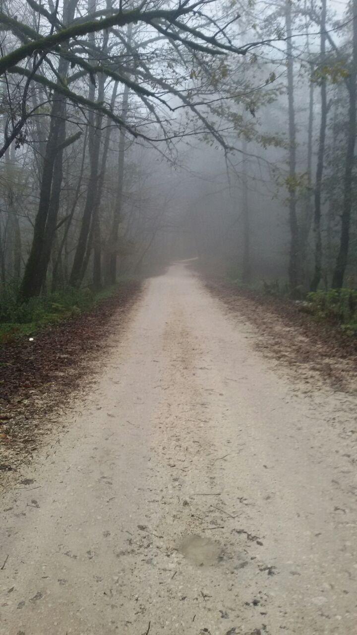 1_10_.jpg (720×1280)