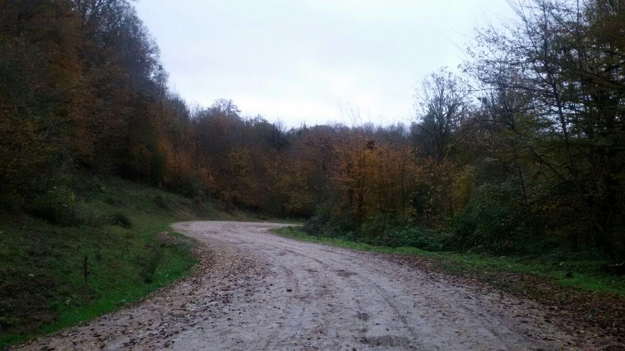 1_12_.jpg (1280×720)