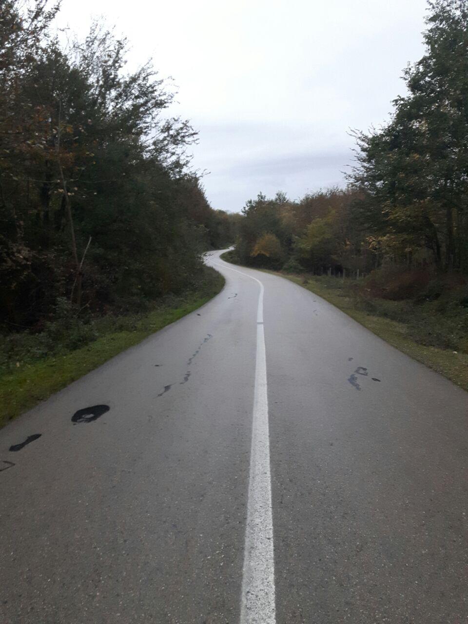 1_15_.jpg (960×1280)