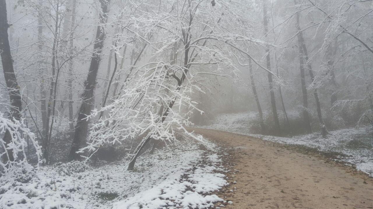 photo_2016_11_21_18_22_59.jpg (1280×720)