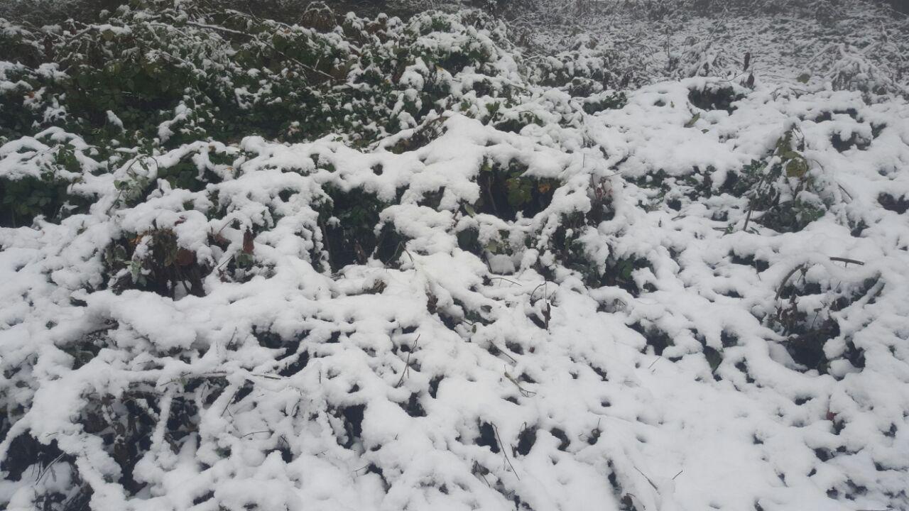 photo_2016_11_21_18_23_04.jpg (1280×720)