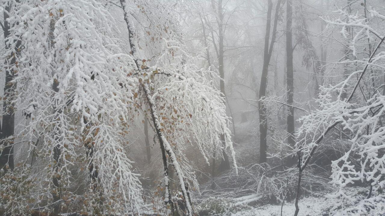 photo_2016_11_21_18_23_07.jpg (1280×720)