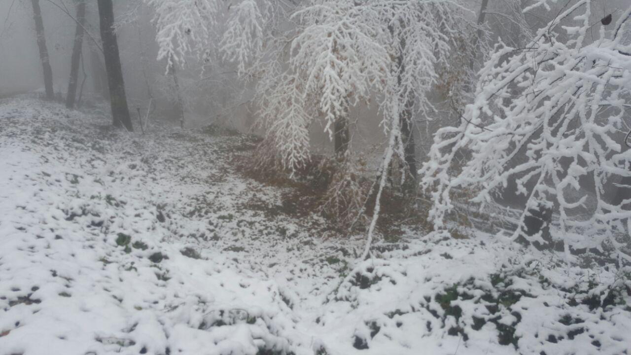 photo_2016_11_21_18_23_16.jpg (1280×720)