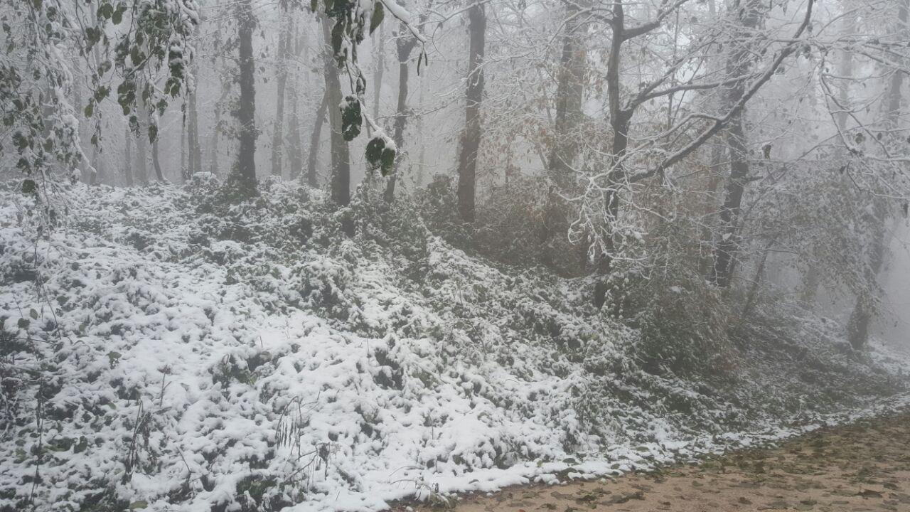 photo_2016_11_21_18_23_22.jpg (1280×720)