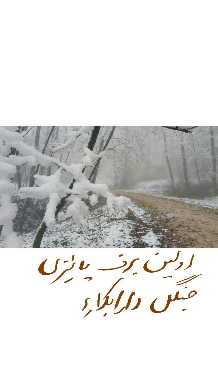 photo_2016_11_21_18_23_25.jpg (745×1280)