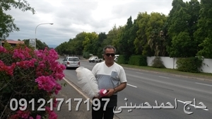 پرفروشی