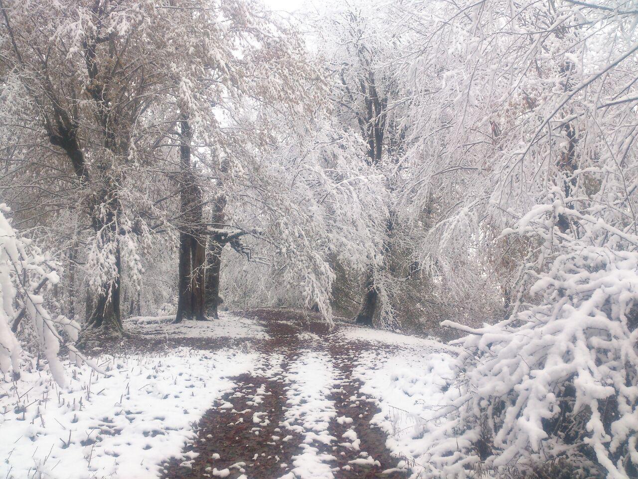 photo_2016_11_22_13_32_57.jpg (1280×960)