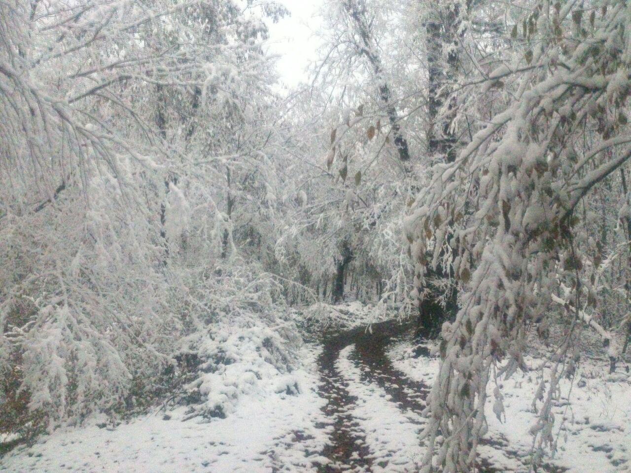 photo_2016_11_22_13_33_03.jpg (1280×960)