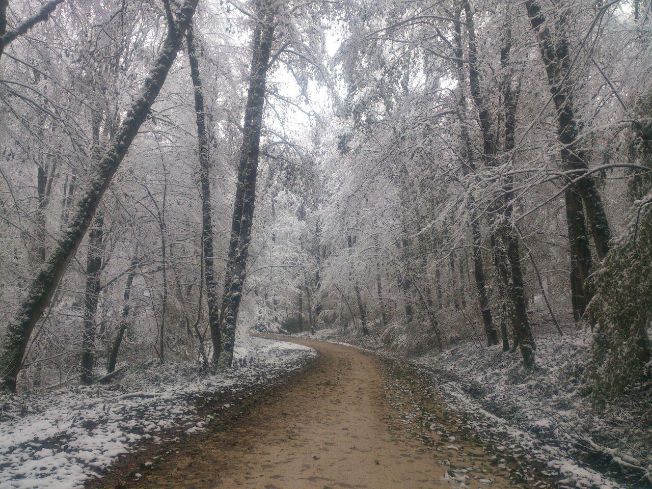 photo_2016_11_22_13_33_05.jpg (1280×960)