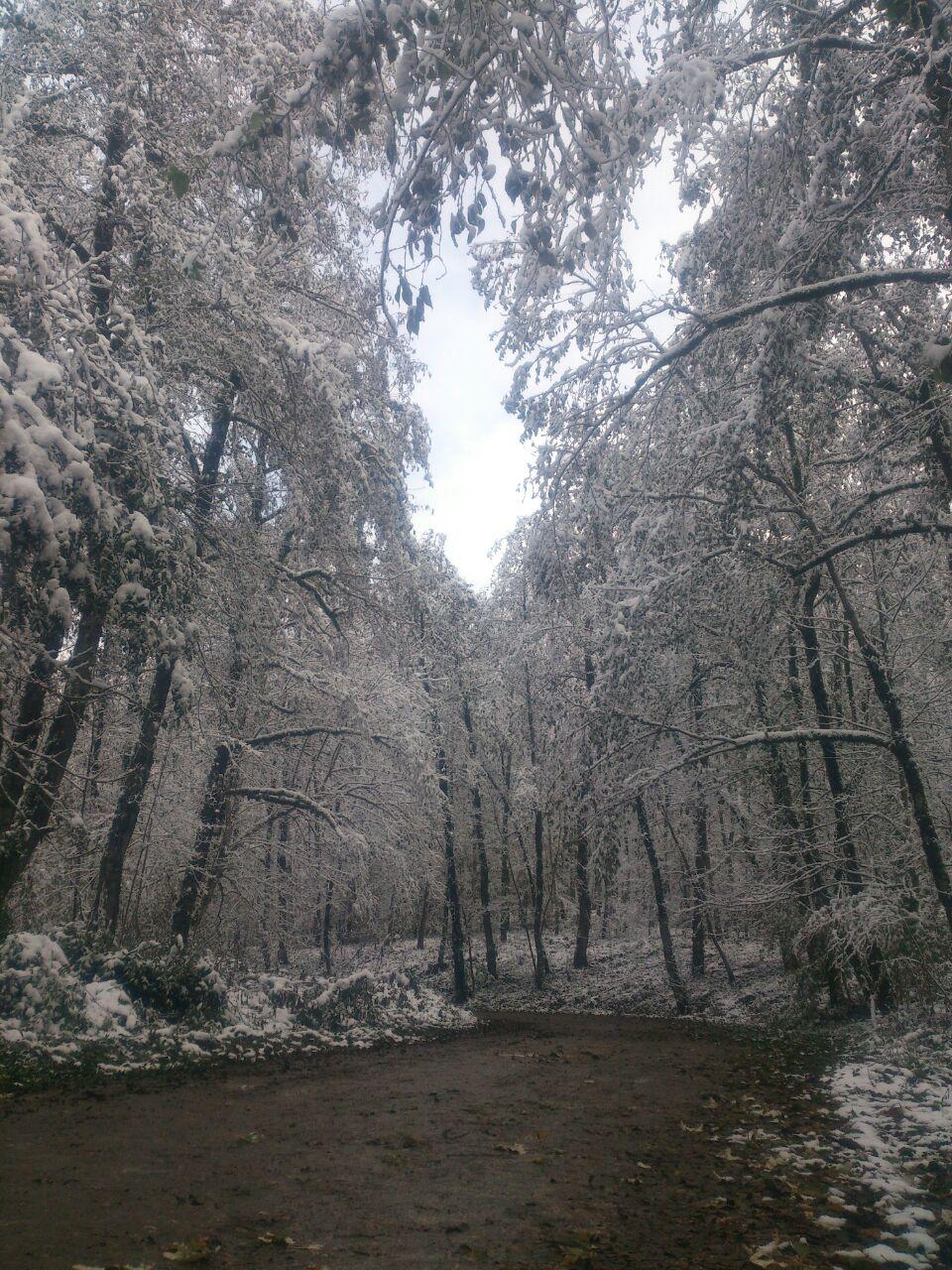 photo_2016_11_22_13_33_08.jpg (960×1280)