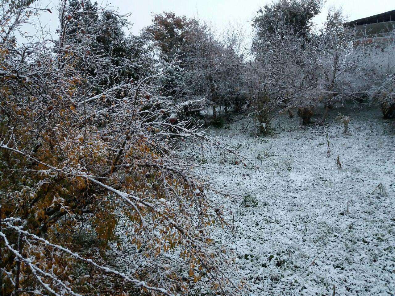 photo_2016_11_23_12_20_58.jpg (1280×960)