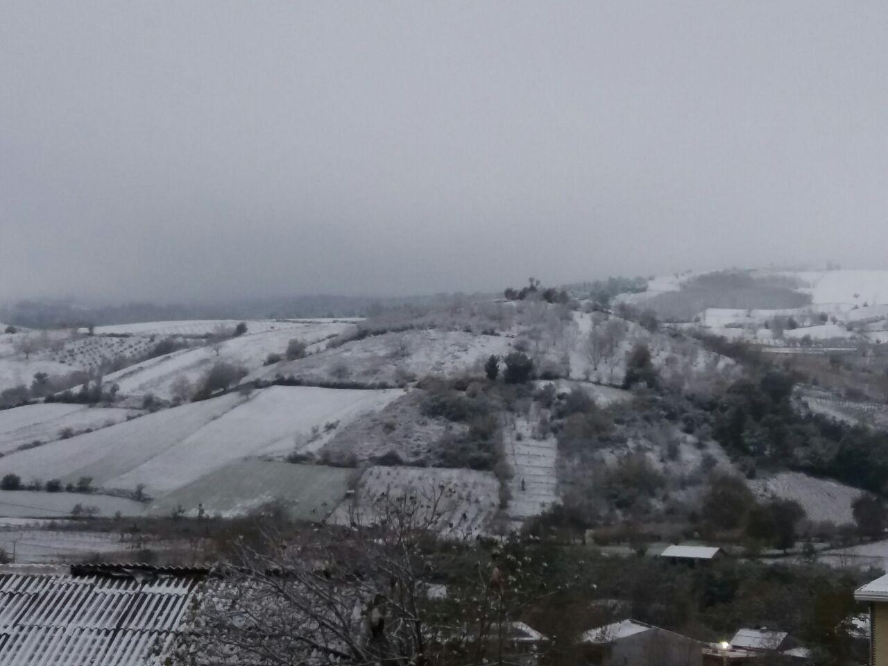 photo_2016_11_23_12_21_17.jpg (1280×960)