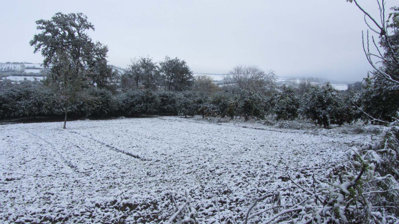 1_3_.jpg (1400×787)