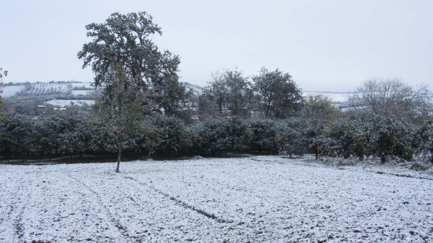 1_5_.jpg (1400×787)