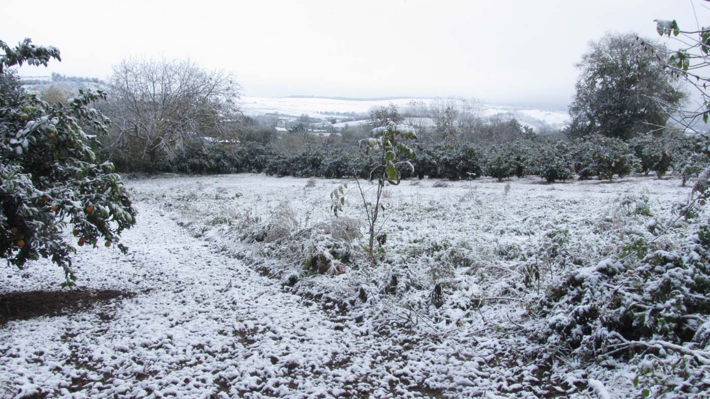 1_10_.jpg (1400×787)