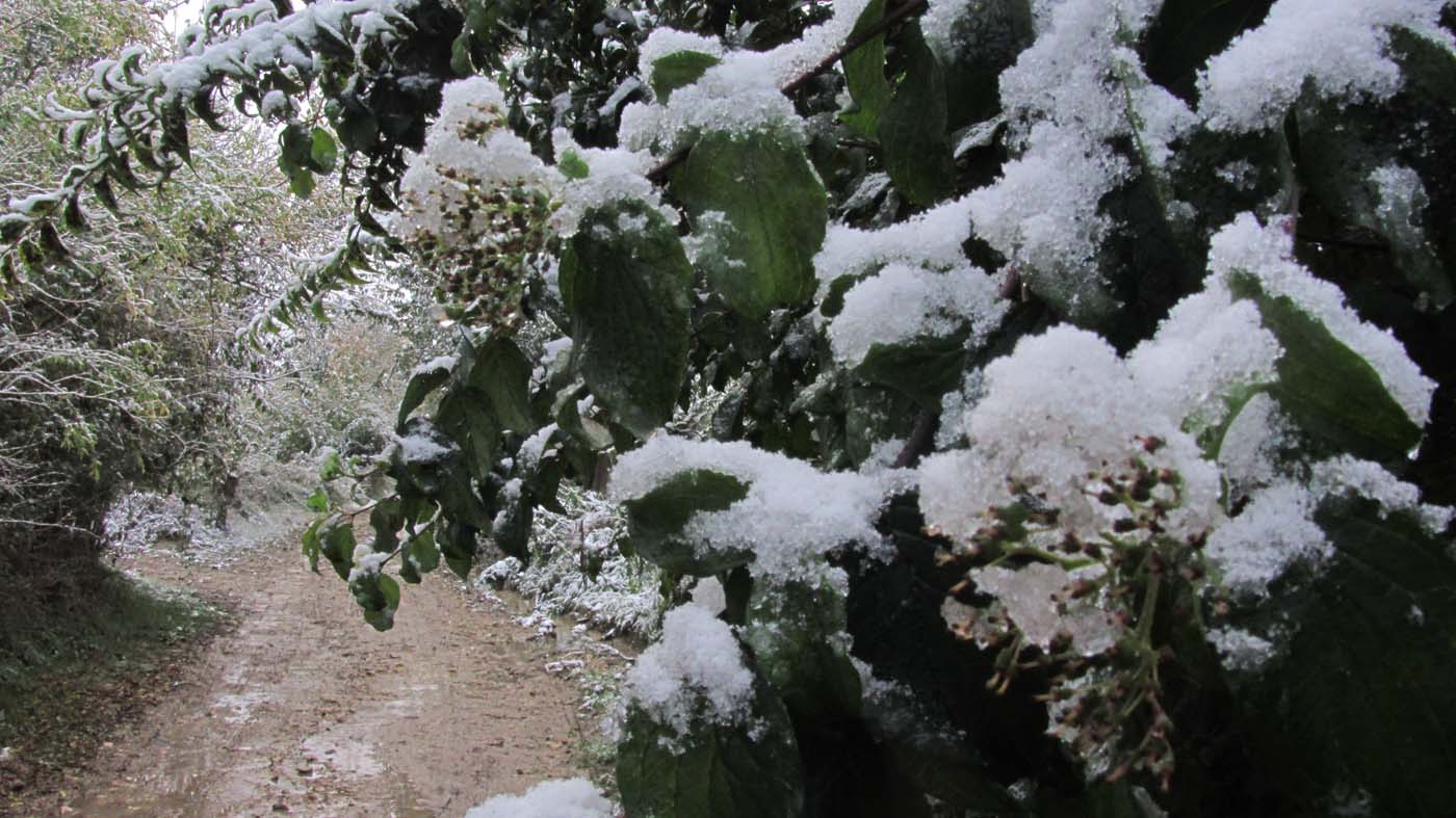 1_11_.jpg (1400×787)