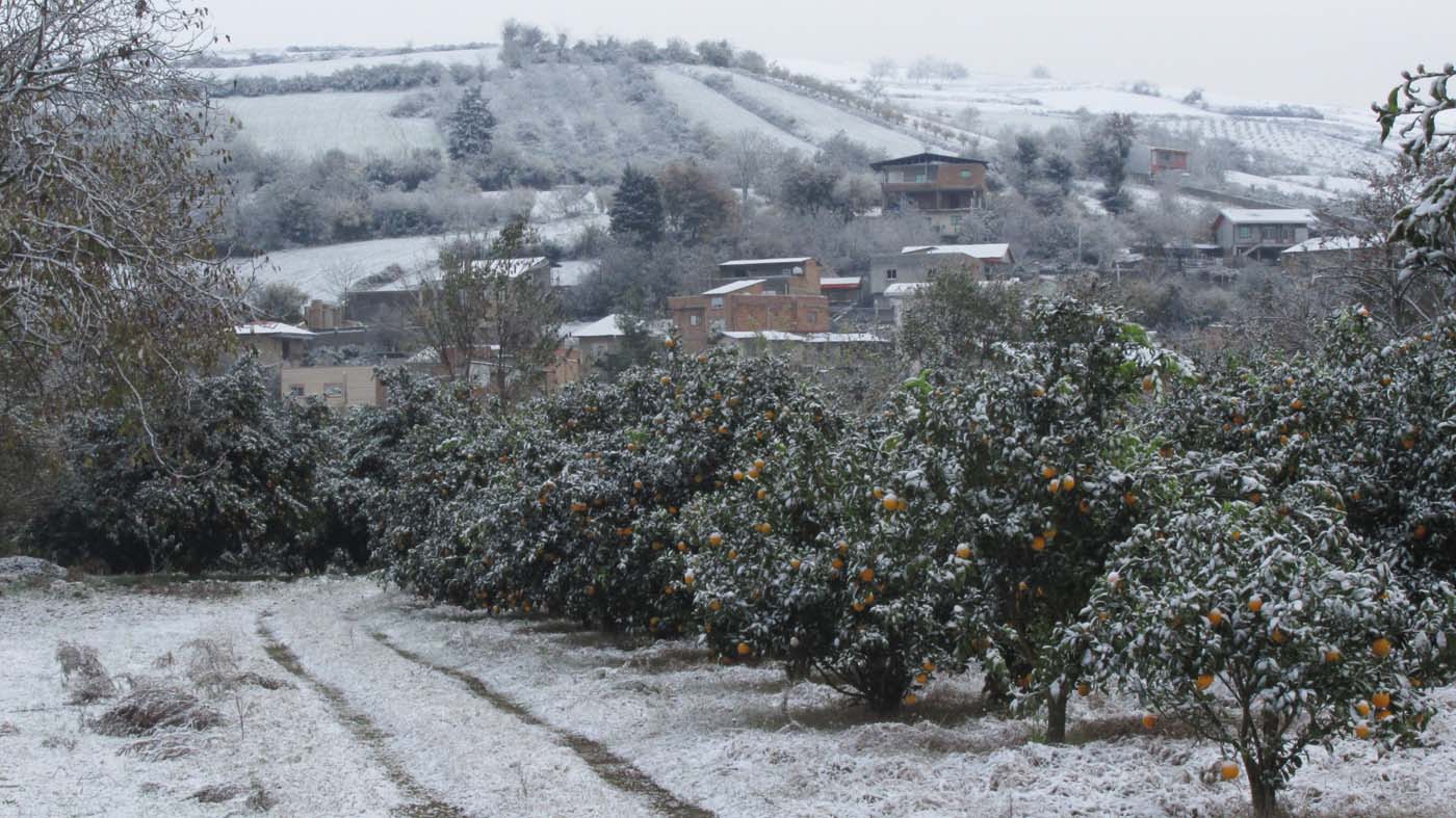 1_12_.jpg (1400×787)