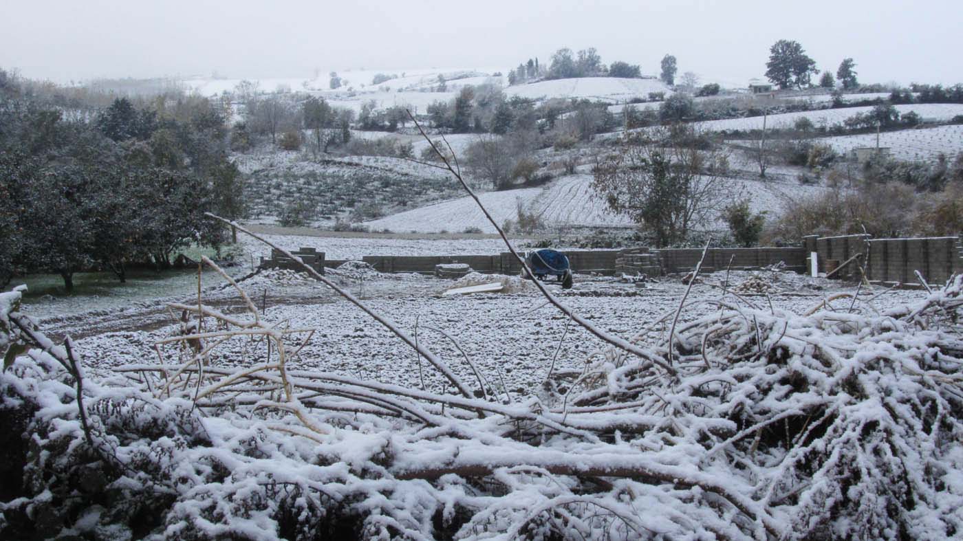 1_14_.jpg (1400×787)