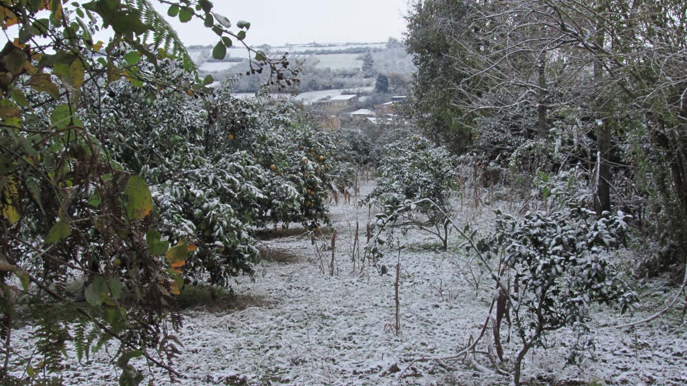 1_15_.jpg (1400×787)