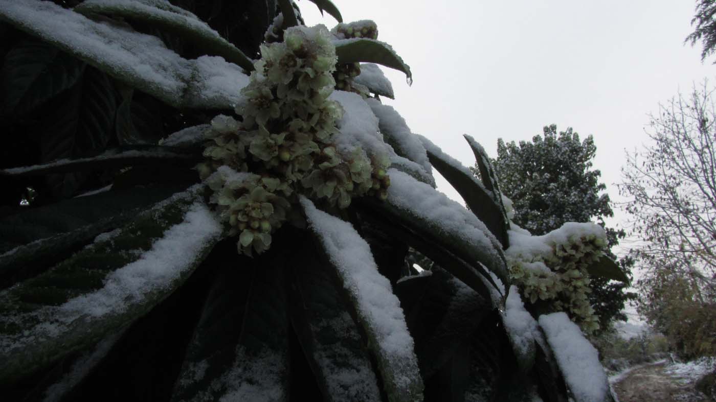 1_17_.jpg (1400×787)