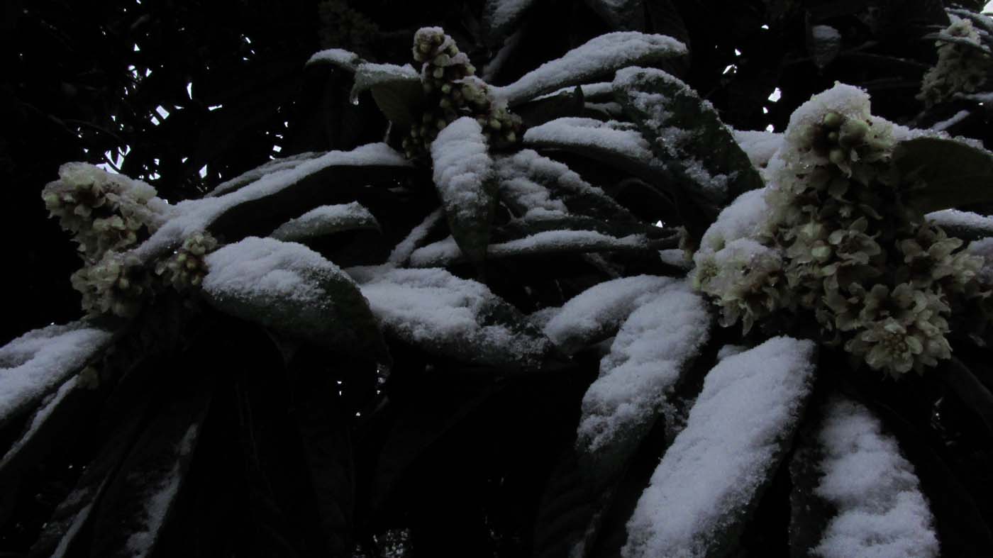 1_18_.jpg (1400×787)