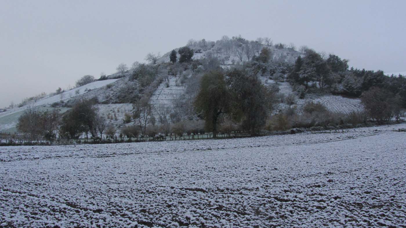 1_19_.jpg (1400×787)