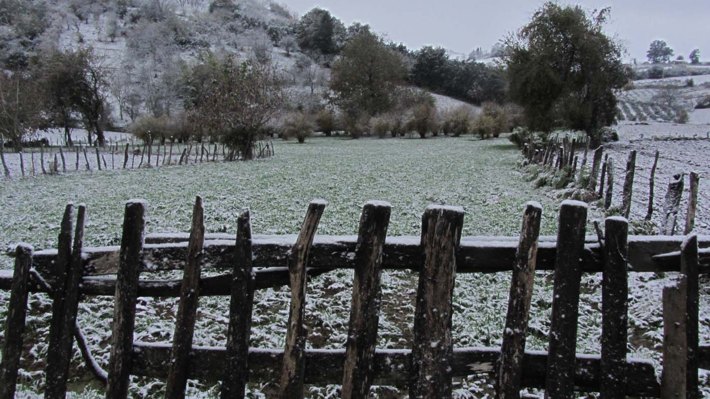 1_20_.jpg (1400×787)