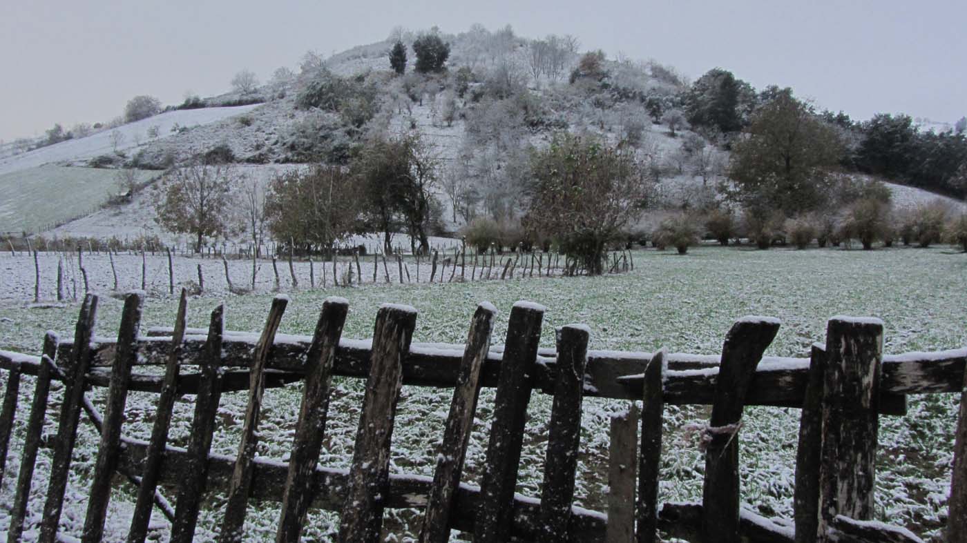 1_21_.jpg (1400×787)