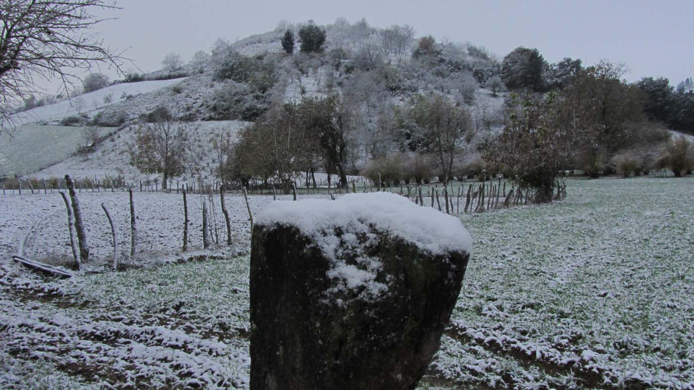 1_23_.jpg (1400×787)