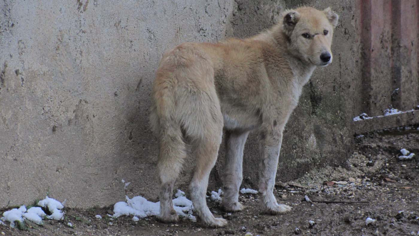 1_25_.jpg (1400×787)