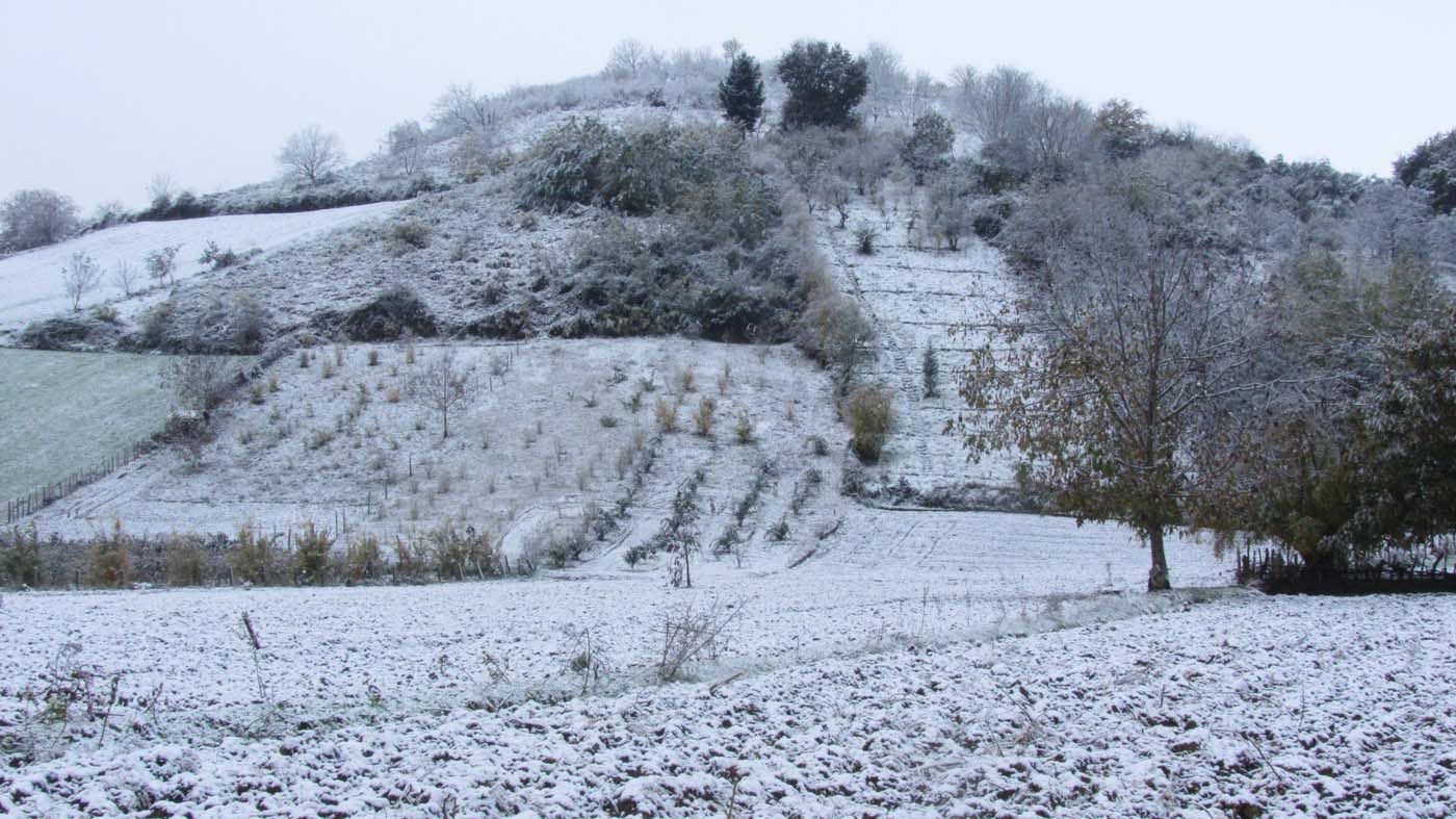 1_26_.jpg (1400×787)