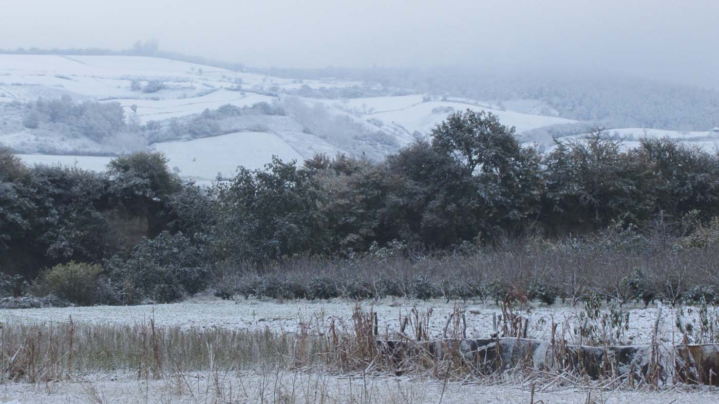 1_28_.jpg (1400×787)