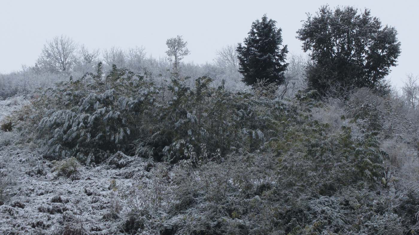 1_30_.jpg (1400×787)