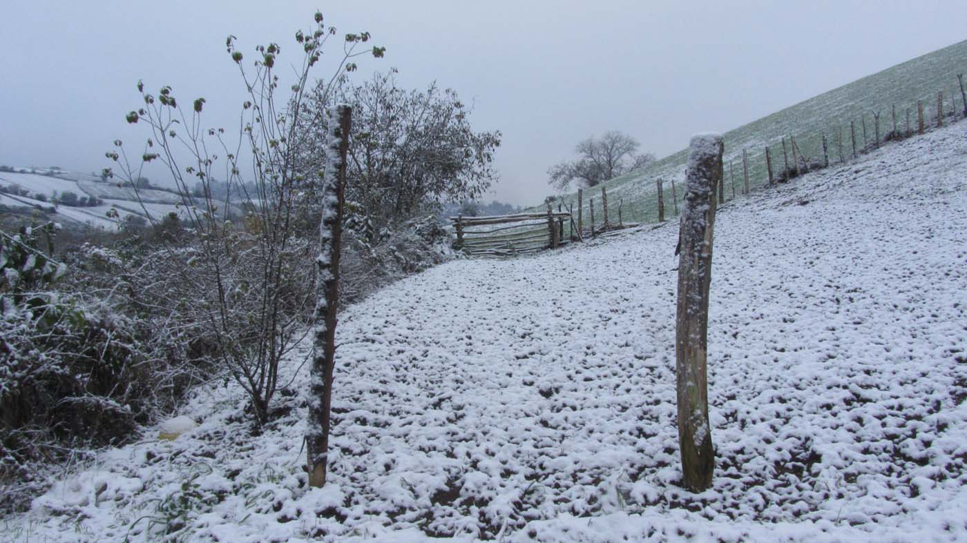 1_32_.jpg (1400×787)