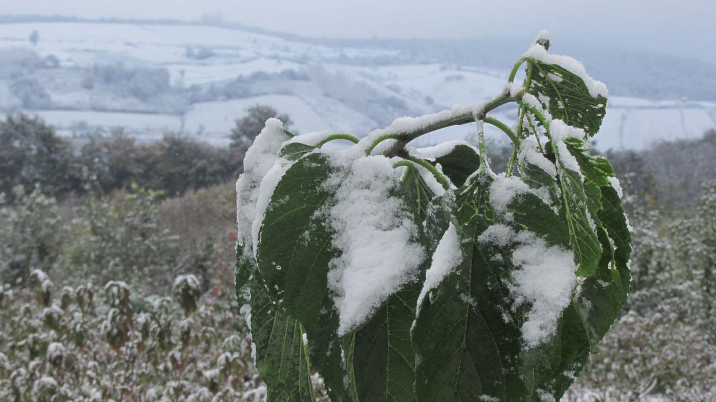 1_34_.jpg (1400×787)