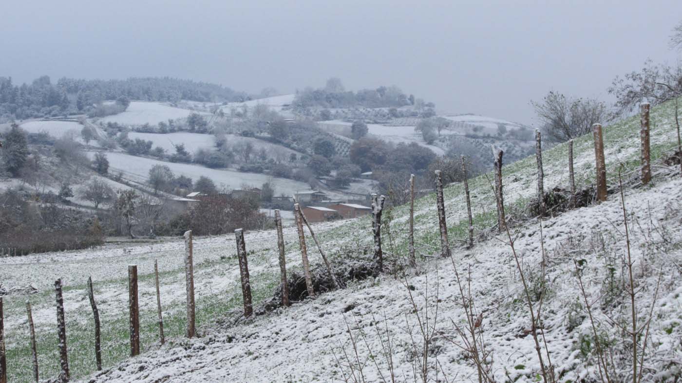 1_36_.jpg (1400×787)