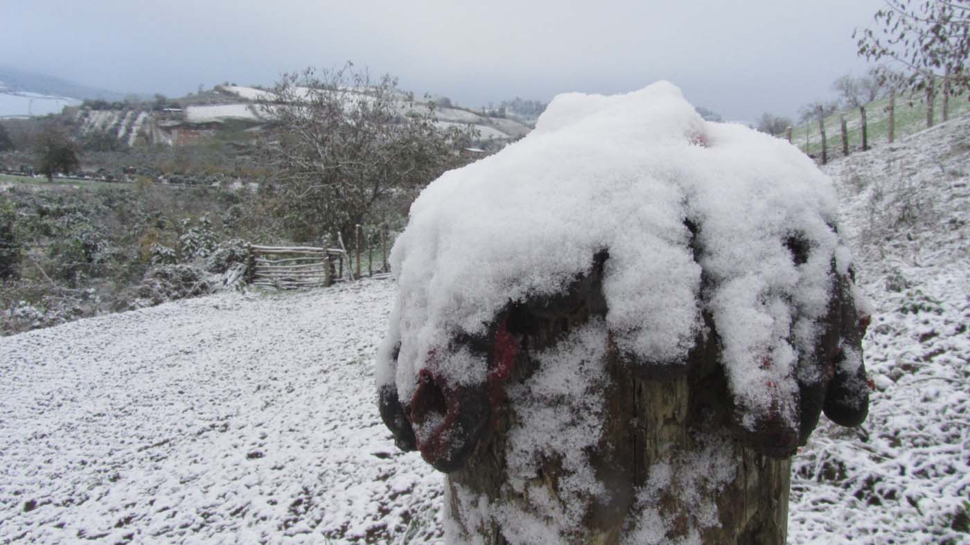 1_38_.jpg (1400×787)