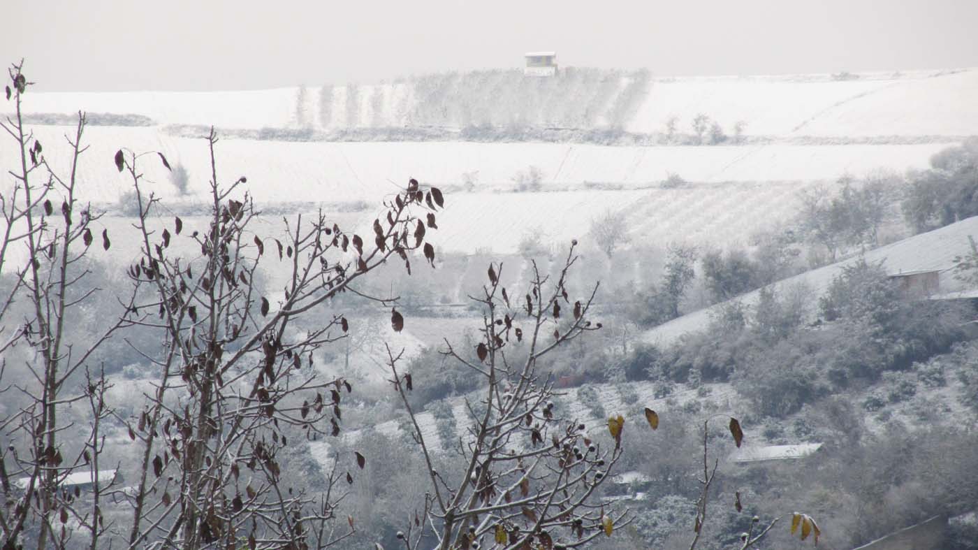 1_39_.jpg (1400×787)