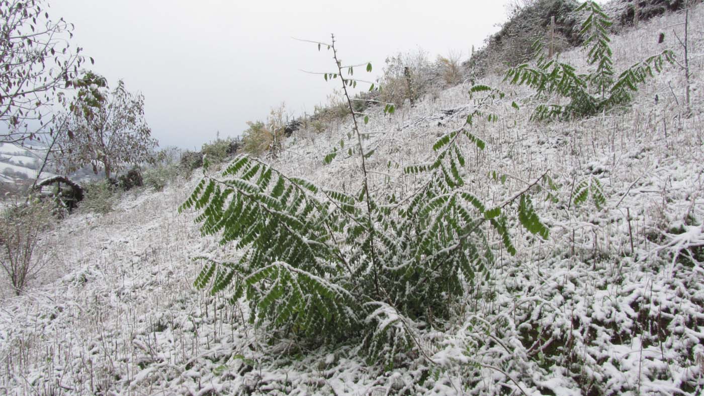 1_45_.jpg (1400×787)