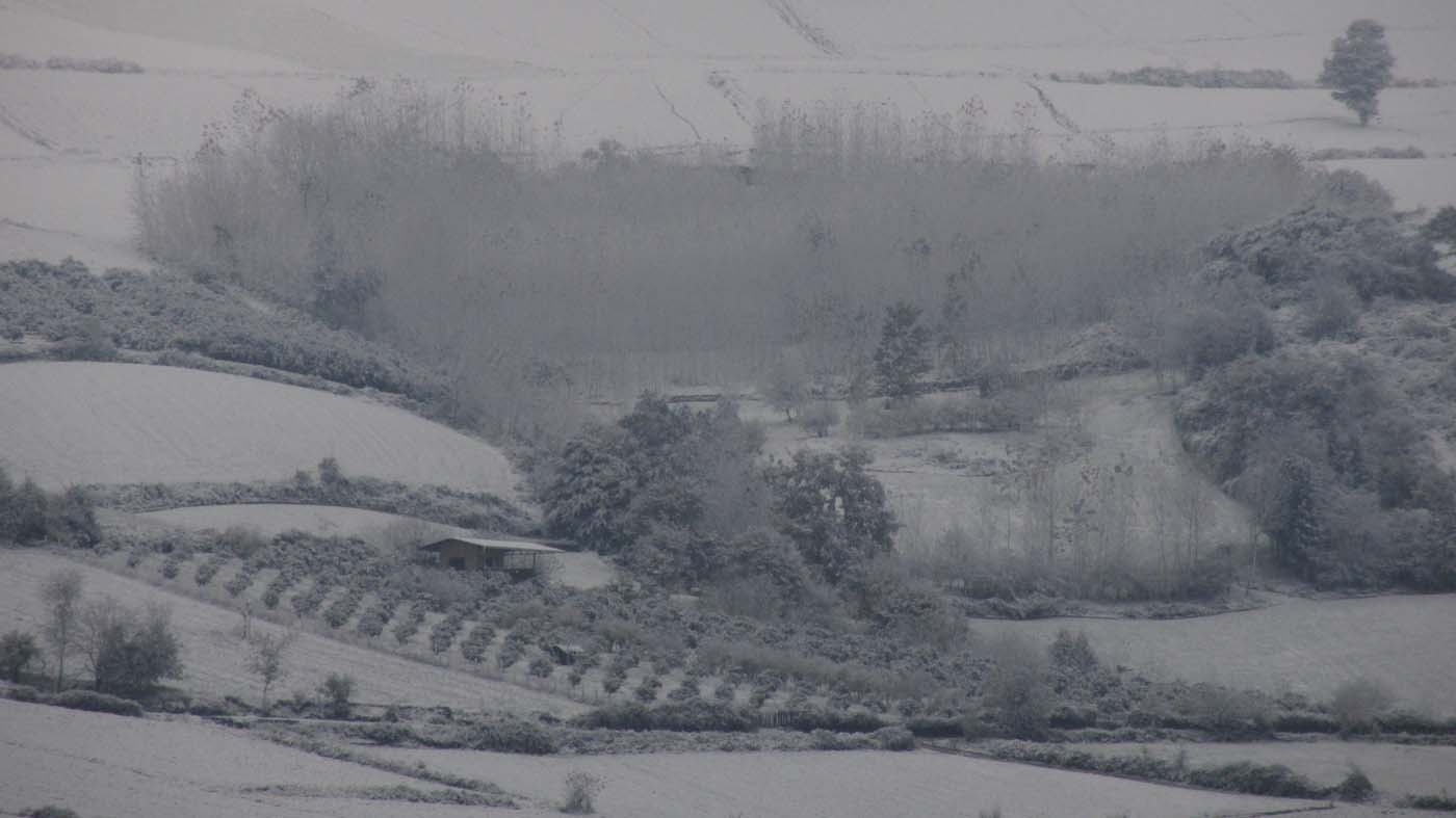 1_47_.jpg (1400×787)