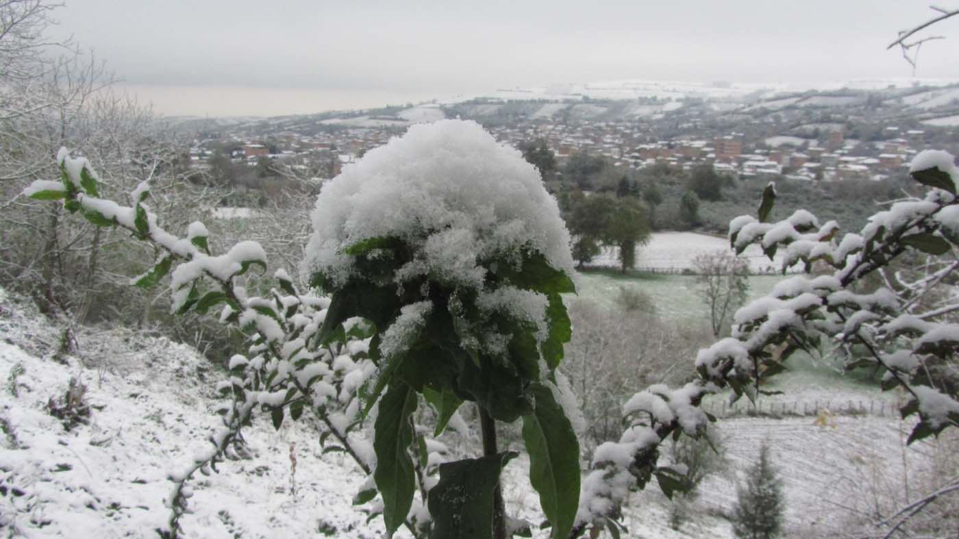 1_56_.jpg (1400×787)