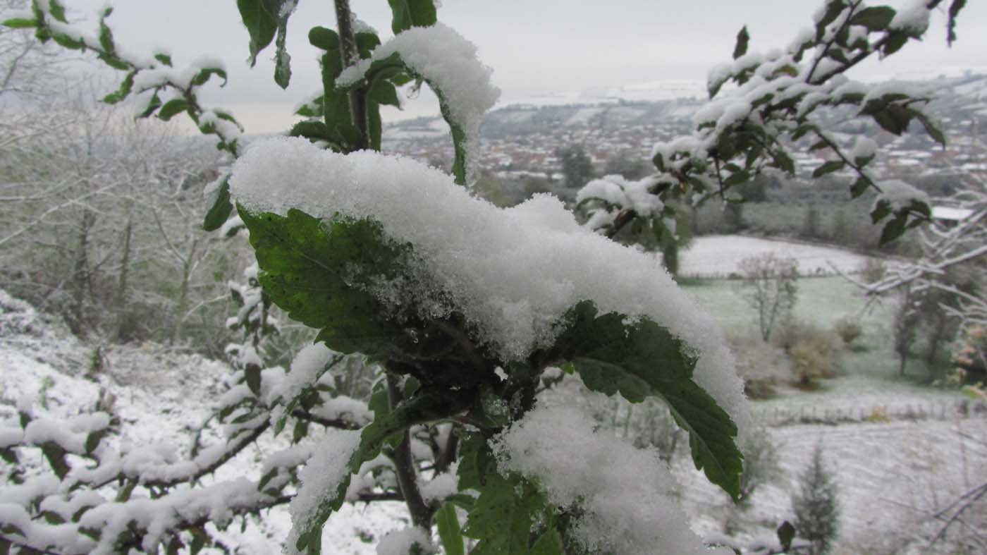 1_57_.jpg (1400×787)