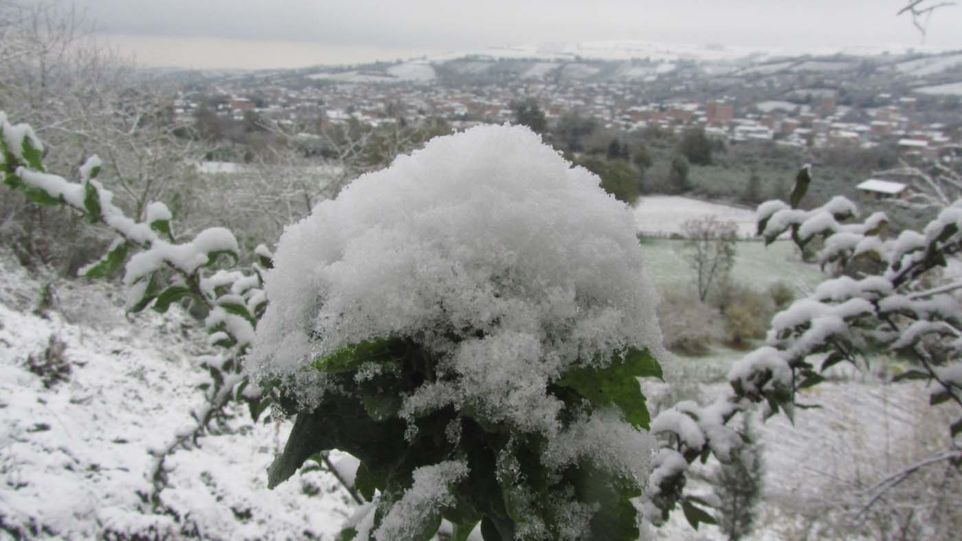 1_58_.jpg (1400×787)