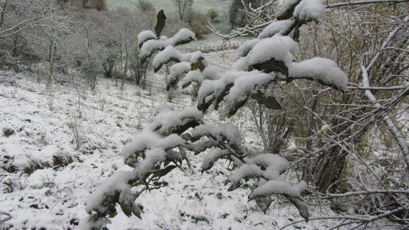 1_60_.jpg (1400×787)