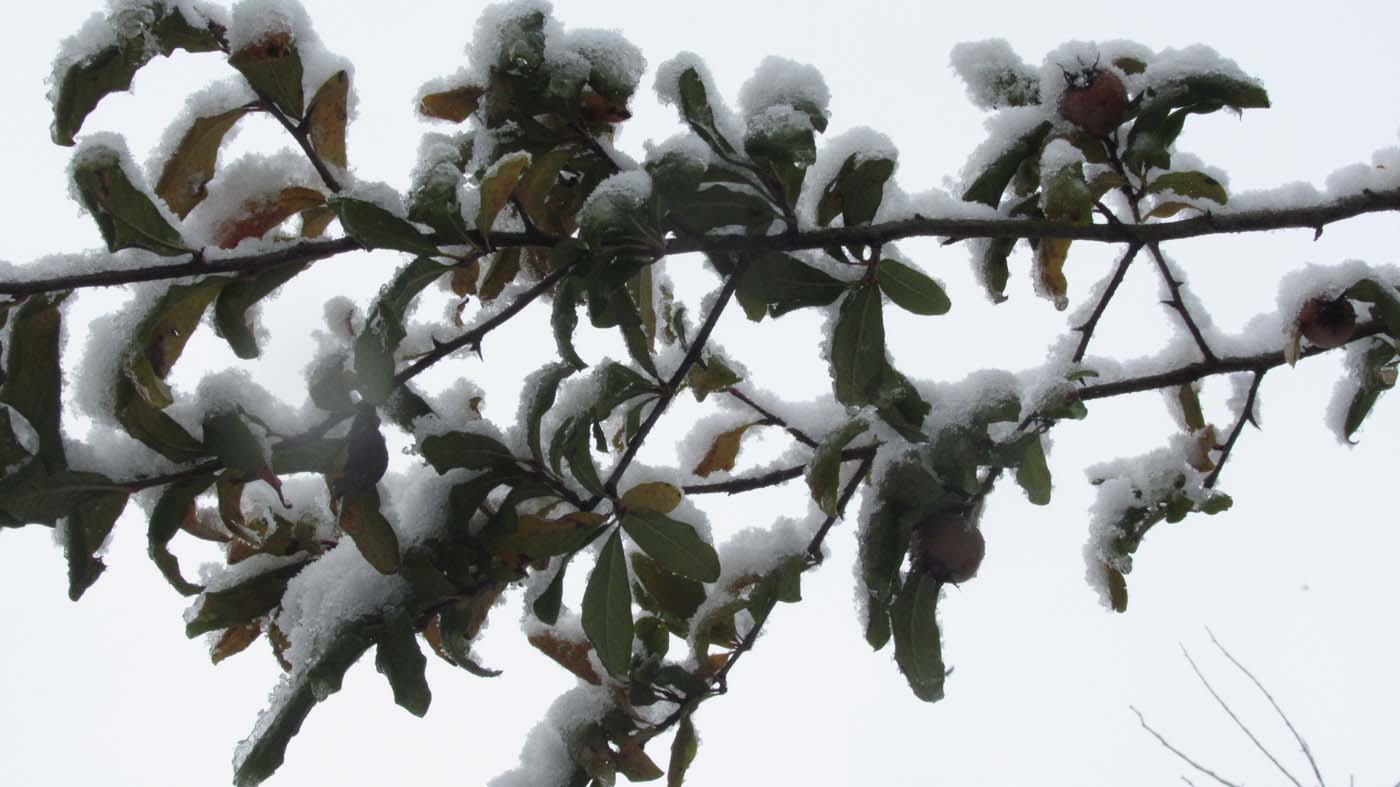 1_62_.jpg (1400×787)